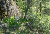 Enlarge photo 16