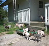 Enlarge photo 22