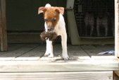 Enlarge photo 4