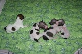 Enlarge photo 2