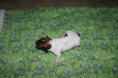 Enlarge photo 1