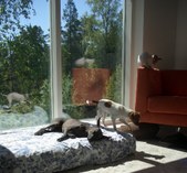 Enlarge photo 23
