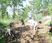 Enlarge photo 3