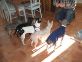 Enlarge photo 20