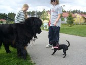 Enlarge photo 12