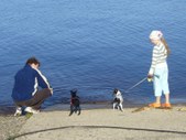 Enlarge photo 13