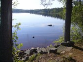 Enlarge photo 14