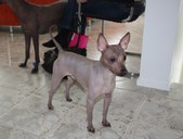 Enlarge photo 11