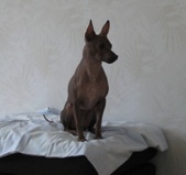 Enlarge photo 14