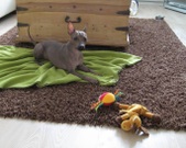 Enlarge photo 15