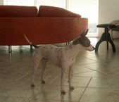 Enlarge photo 5