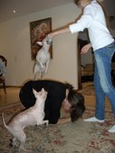 Enlarge photo 16