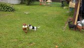 Enlarge photo 14