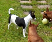 Enlarge photo 16