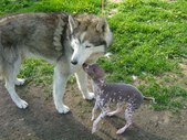 Enlarge photo 10