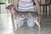 Enlarge photo 13