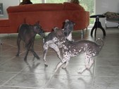 Enlarge photo 11