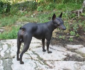Enlarge photo 9