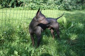 Enlarge photo 10