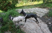 Enlarge photo 14