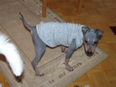 Enlarge photo 19
