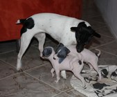 Enlarge photo 21