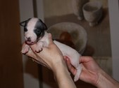 Enlarge photo 11