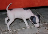 Enlarge photo 15