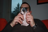 Enlarge photo 13