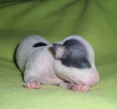 Enlarge photo 3