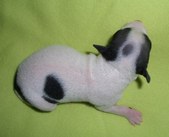 Enlarge photo 5