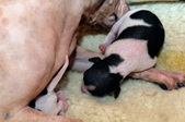 Enlarge photo 19
