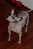 Enlarge photo 13