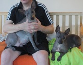 Enlarge photo 12