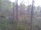 Enlarge MPEG4 3