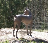Enlarge photo 11
