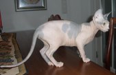 Enlarge photo 18
