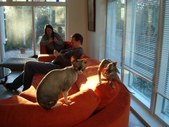Enlarge photo 22