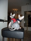 Enlarge photo 19