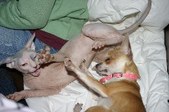 Enlarge photo 22