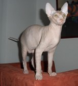 Enlarge photo 21