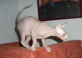 Enlarge photo 22