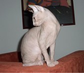 Enlarge photo 23