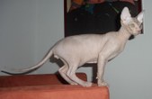 Enlarge photo 16