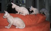Enlarge photo 18