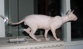 Enlarge photo 18