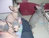 Enlarge photo 5