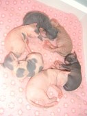 Enlarge photo 16