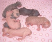 Enlarge photo 8