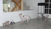 Enlarge photo 20